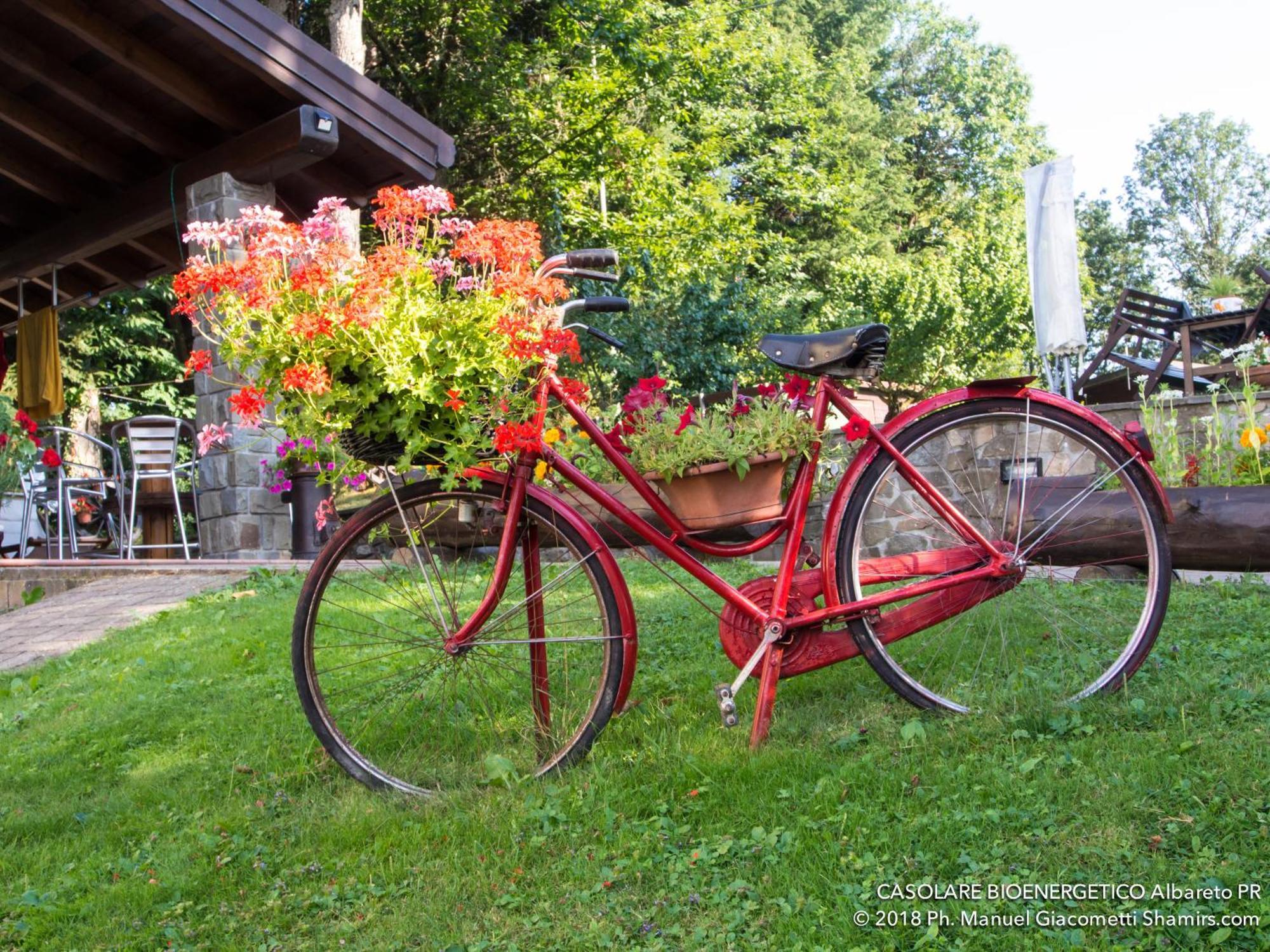 Il Casolare Bioenergetico Bed & Breakfast Albareto  Dış mekan fotoğraf